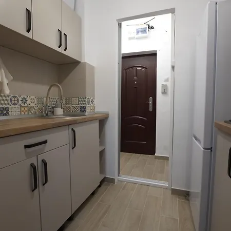 Minerva Studio Apartment Craiova